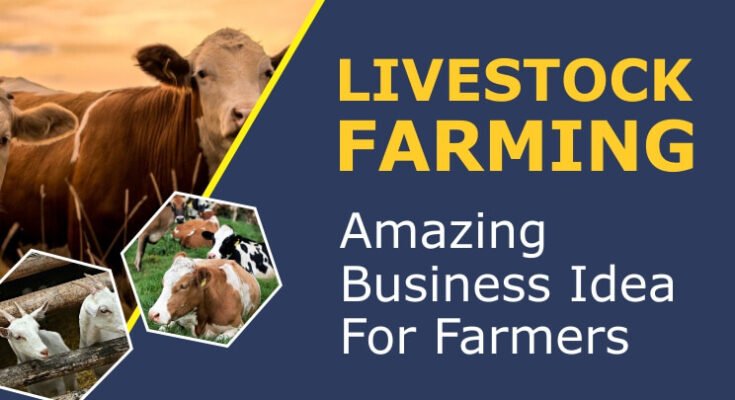 Profitable Livestockplr For Raising Farm Animals