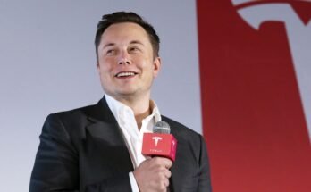 Was Elon Musk Born Rich