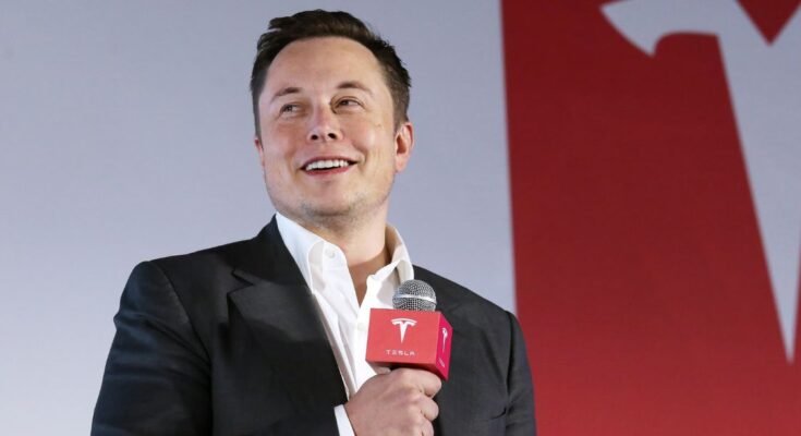 Was Elon Musk Born Rich